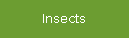 Insects