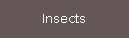 Insects