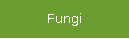 Fungi