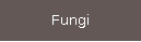 Fungi