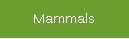 Mammals