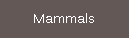 Mammals