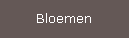 Bloemen