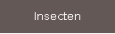 Insecten