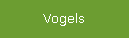 Vogels