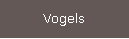 Vogels