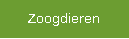 Zoogdieren