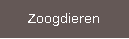 Zoogdieren