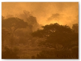 Amboseli National Park - Kenya