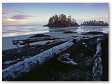 Schooner Beach - Pacific Rim NP
