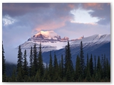 Icefield Parkway