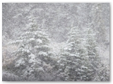 Icefield Parkway