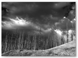Yellowstone NP