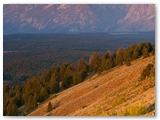 Grand Teton NP