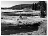 Yellowstone NP