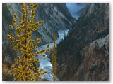 Yellowstone NP - Artist point