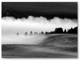 Yellowstone NP