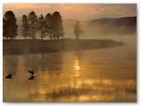 Yellowstone NP