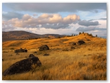 Yellowstone NP - Lamar Valley