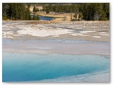 Yellowstone NP